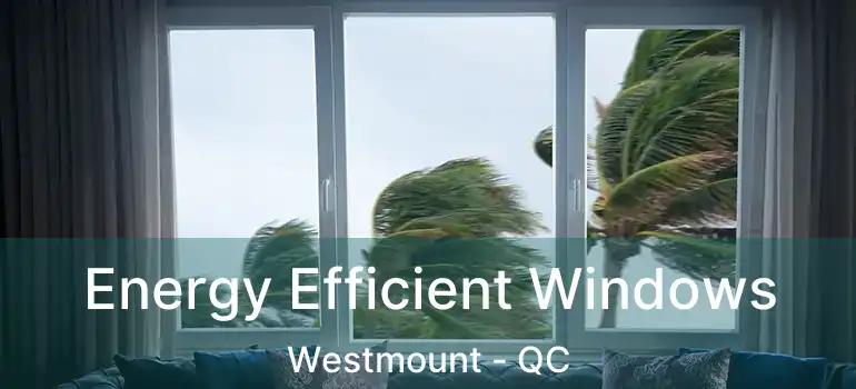  Energy Efficient Windows Westmount - QC