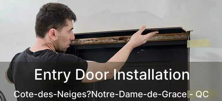  Entry Door Installation Cote-des-Neiges?Notre-Dame-de-Grace - QC