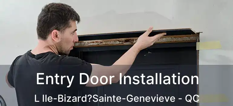  Entry Door Installation L Ile-Bizard?Sainte-Genevieve - QC