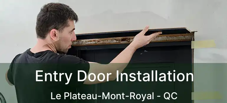 Entry Door Installation Le Plateau-Mont-Royal - QC