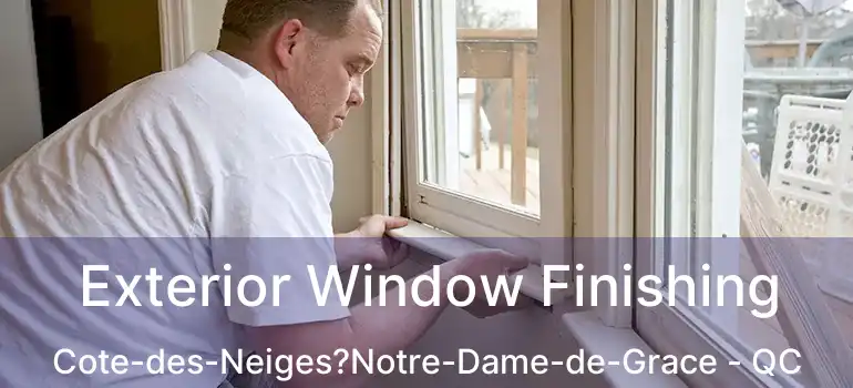  Exterior Window Finishing Cote-des-Neiges?Notre-Dame-de-Grace - QC
