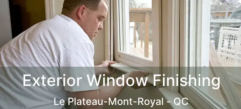  Exterior Window Finishing Le Plateau-Mont-Royal - QC