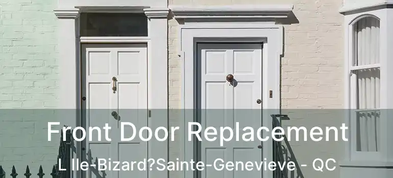  Front Door Replacement L Ile-Bizard?Sainte-Genevieve - QC