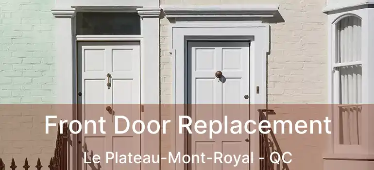  Front Door Replacement Le Plateau-Mont-Royal - QC