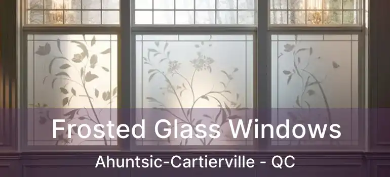  Frosted Glass Windows Ahuntsic-Cartierville - QC