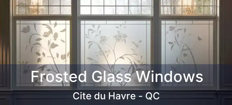  Frosted Glass Windows Cite du Havre - QC