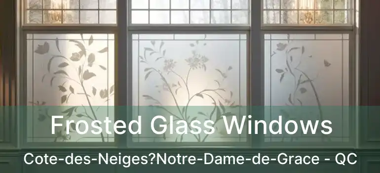  Frosted Glass Windows Cote-des-Neiges?Notre-Dame-de-Grace - QC