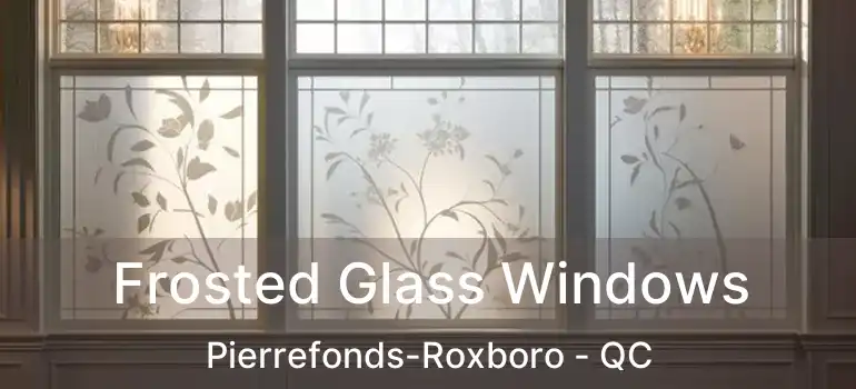 Frosted Glass Windows Pierrefonds-Roxboro - QC