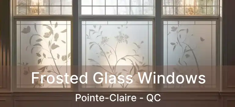  Frosted Glass Windows Pointe-Claire - QC