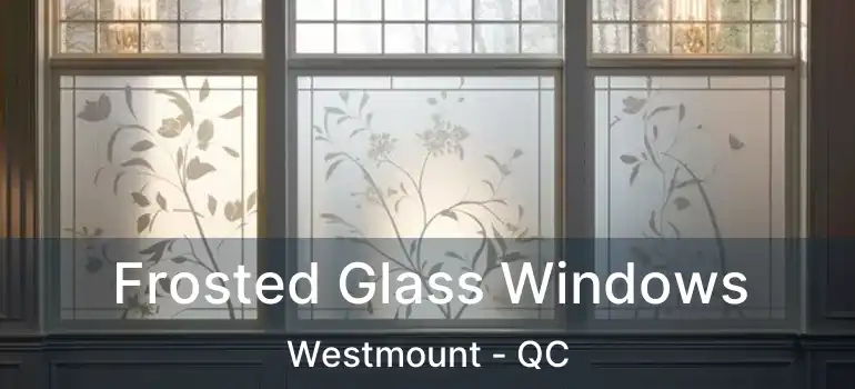  Frosted Glass Windows Westmount - QC