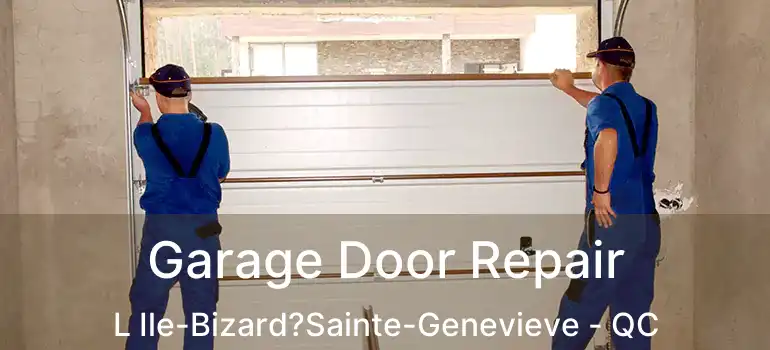  Garage Door Repair L Ile-Bizard?Sainte-Genevieve - QC