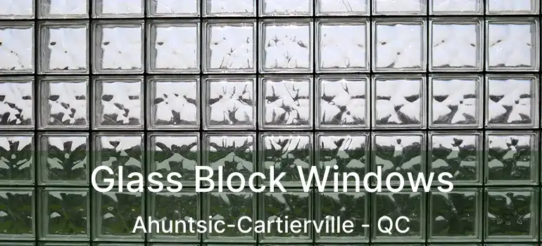 Glass Block Windows Ahuntsic-Cartierville - QC