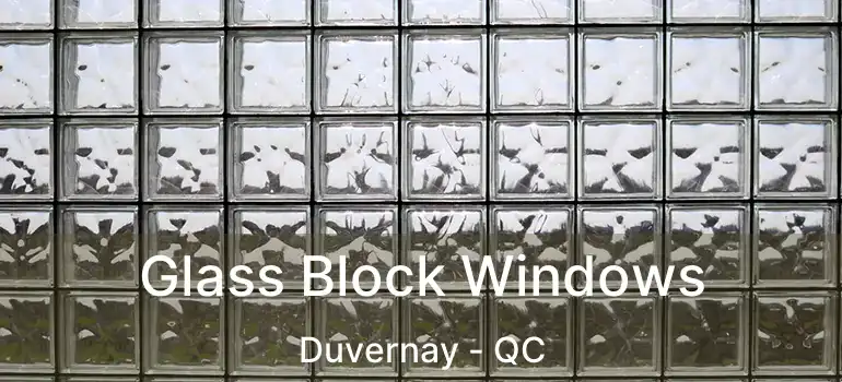  Glass Block Windows Duvernay - QC