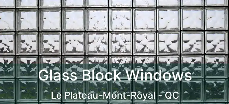  Glass Block Windows Le Plateau-Mont-Royal - QC