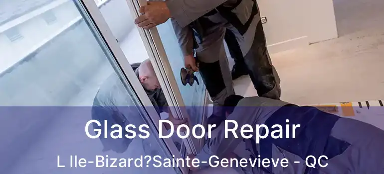  Glass Door Repair L Ile-Bizard?Sainte-Genevieve - QC