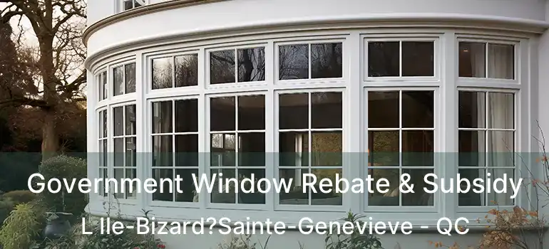  Government Window Rebate & Subsidy L Ile-Bizard?Sainte-Genevieve - QC