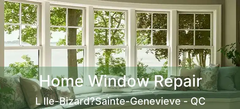  Home Window Repair L Ile-Bizard?Sainte-Genevieve - QC