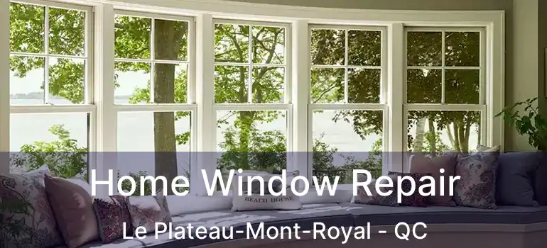  Home Window Repair Le Plateau-Mont-Royal - QC