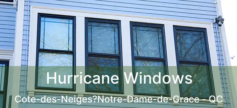  Hurricane Windows Cote-des-Neiges?Notre-Dame-de-Grace - QC