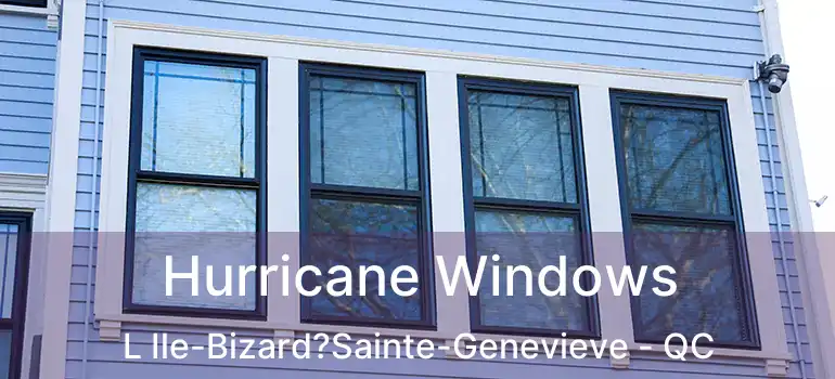  Hurricane Windows L Ile-Bizard?Sainte-Genevieve - QC