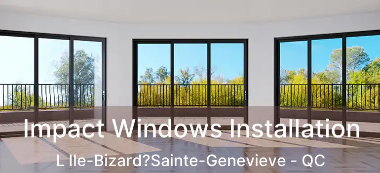 Impact Windows Installation L Ile-Bizard?Sainte-Genevieve - QC