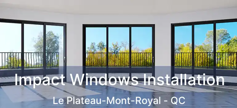  Impact Windows Installation Le Plateau-Mont-Royal - QC