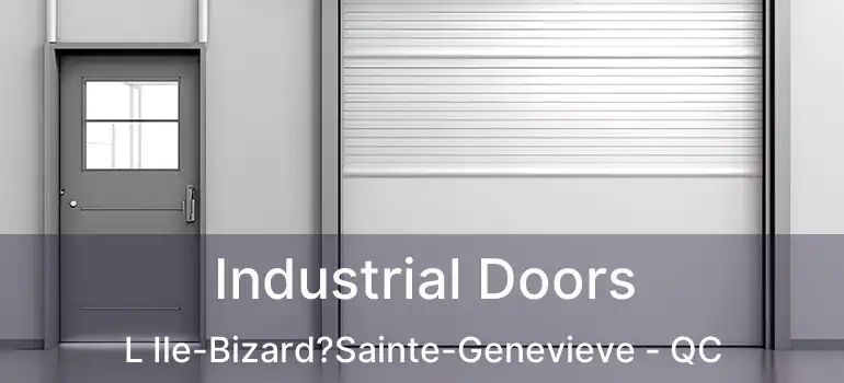  Industrial Doors L Ile-Bizard?Sainte-Genevieve - QC