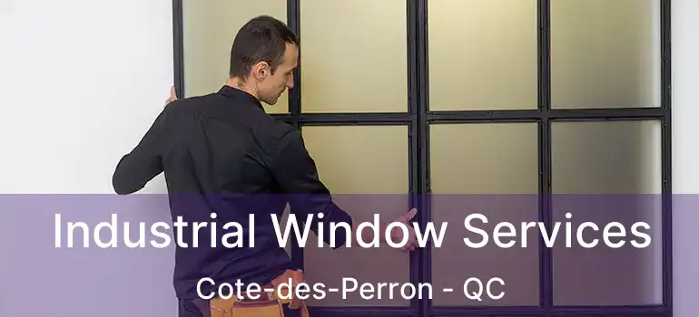  Industrial Window Services Cote-des-Perron - QC