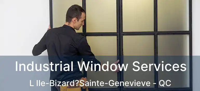  Industrial Window Services L Ile-Bizard?Sainte-Genevieve - QC