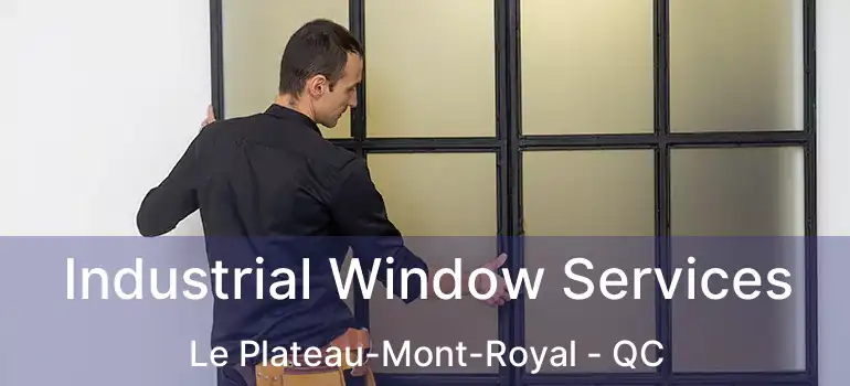  Industrial Window Services Le Plateau-Mont-Royal - QC