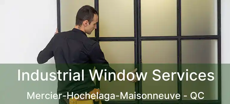  Industrial Window Services Mercier-Hochelaga-Maisonneuve - QC