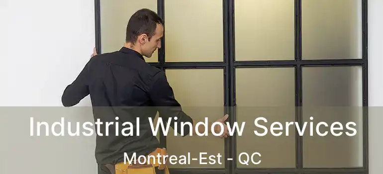  Industrial Window Services Montreal-Est - QC