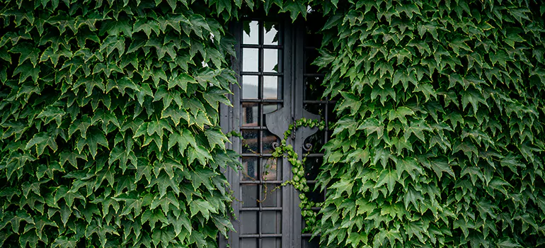 Garden Gate Repair in Laval, QC
