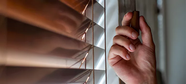 Double Roller Blinds in Laval, Quebec