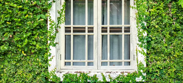 Garden Window Repair Near Me in Laval, QC