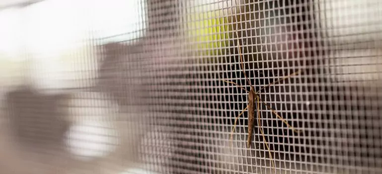Repair Mosquito Mesh For Windows in Laval, Quebec