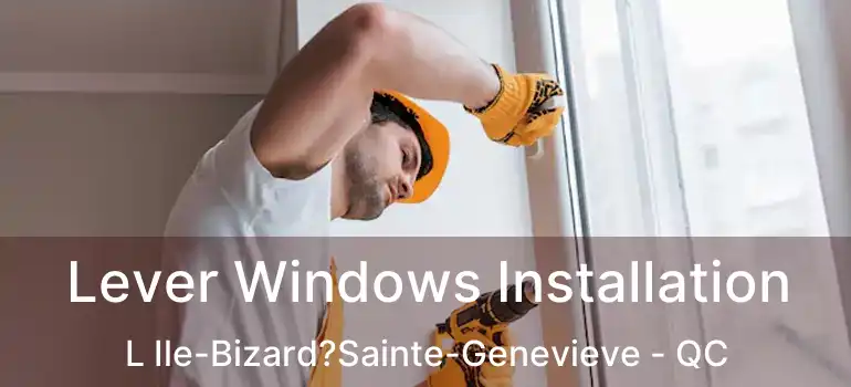  Lever Windows Installation L Ile-Bizard?Sainte-Genevieve - QC
