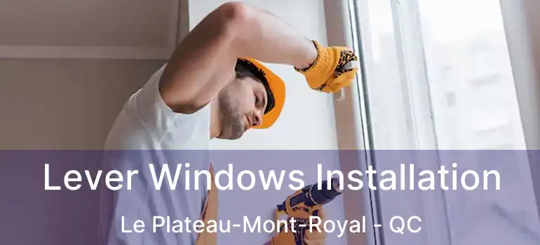  Lever Windows Installation Le Plateau-Mont-Royal - QC