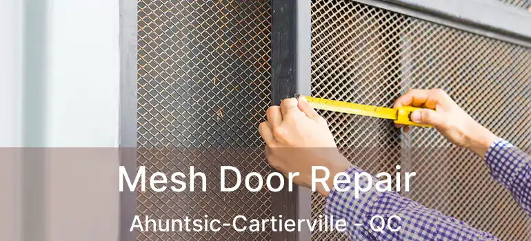  Mesh Door Repair Ahuntsic-Cartierville - QC