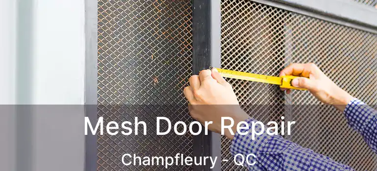  Mesh Door Repair Champfleury - QC