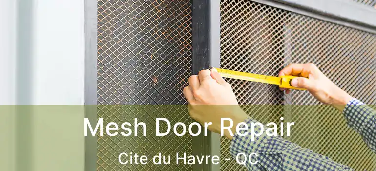  Mesh Door Repair Cite du Havre - QC