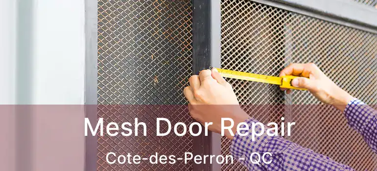  Mesh Door Repair Cote-des-Perron - QC