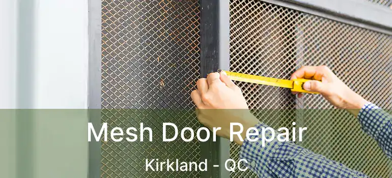  Mesh Door Repair Kirkland - QC