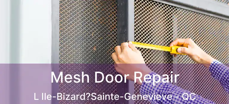  Mesh Door Repair L Ile-Bizard?Sainte-Genevieve - QC