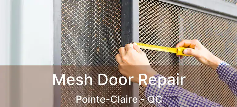  Mesh Door Repair Pointe-Claire - QC