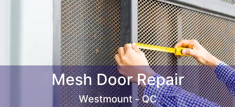  Mesh Door Repair Westmount - QC