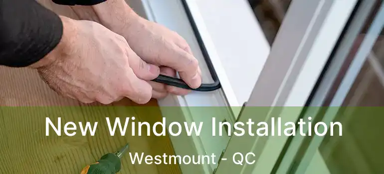  New Window Installation Westmount - QC