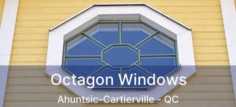  Octagon Windows Ahuntsic-Cartierville - QC