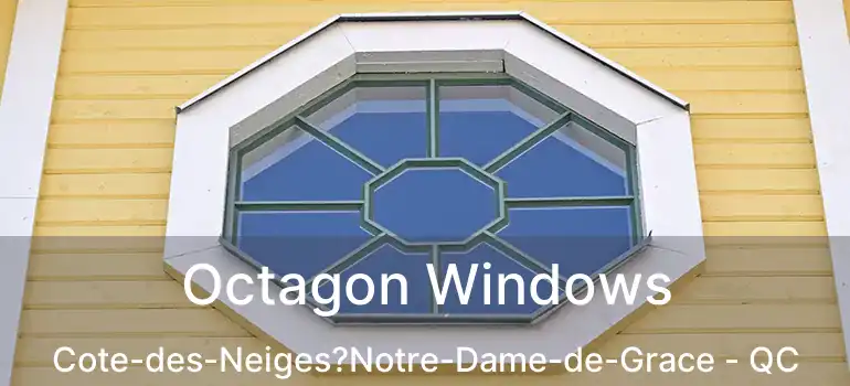  Octagon Windows Cote-des-Neiges?Notre-Dame-de-Grace - QC