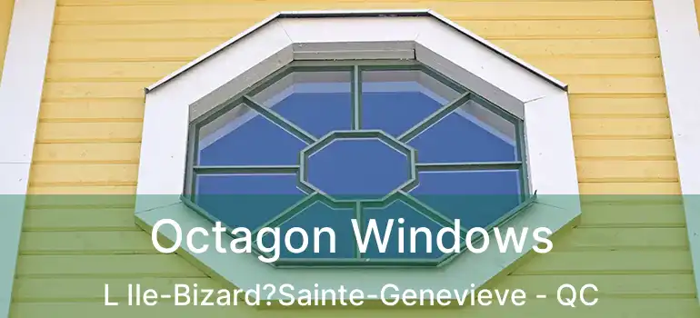  Octagon Windows L Ile-Bizard?Sainte-Genevieve - QC